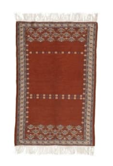 سوپرفاین حامی 