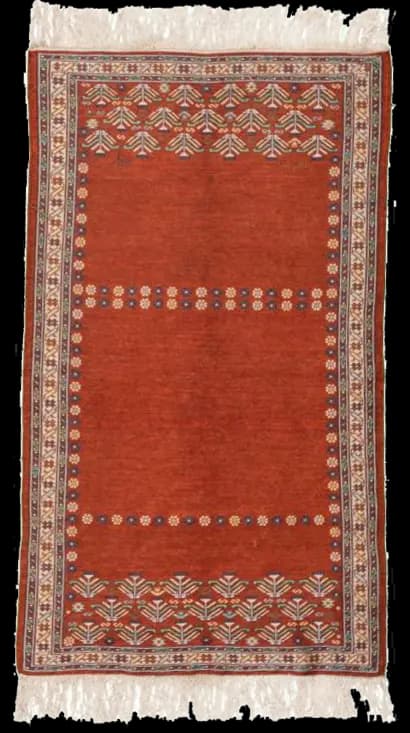 سوپرفاین حامی 